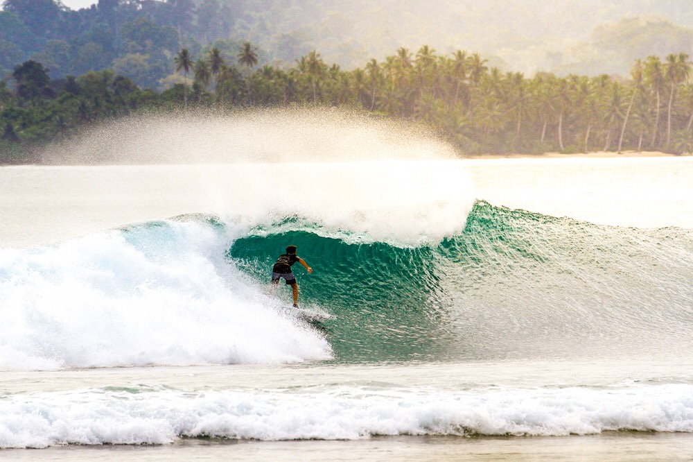 James Donaldson surfing